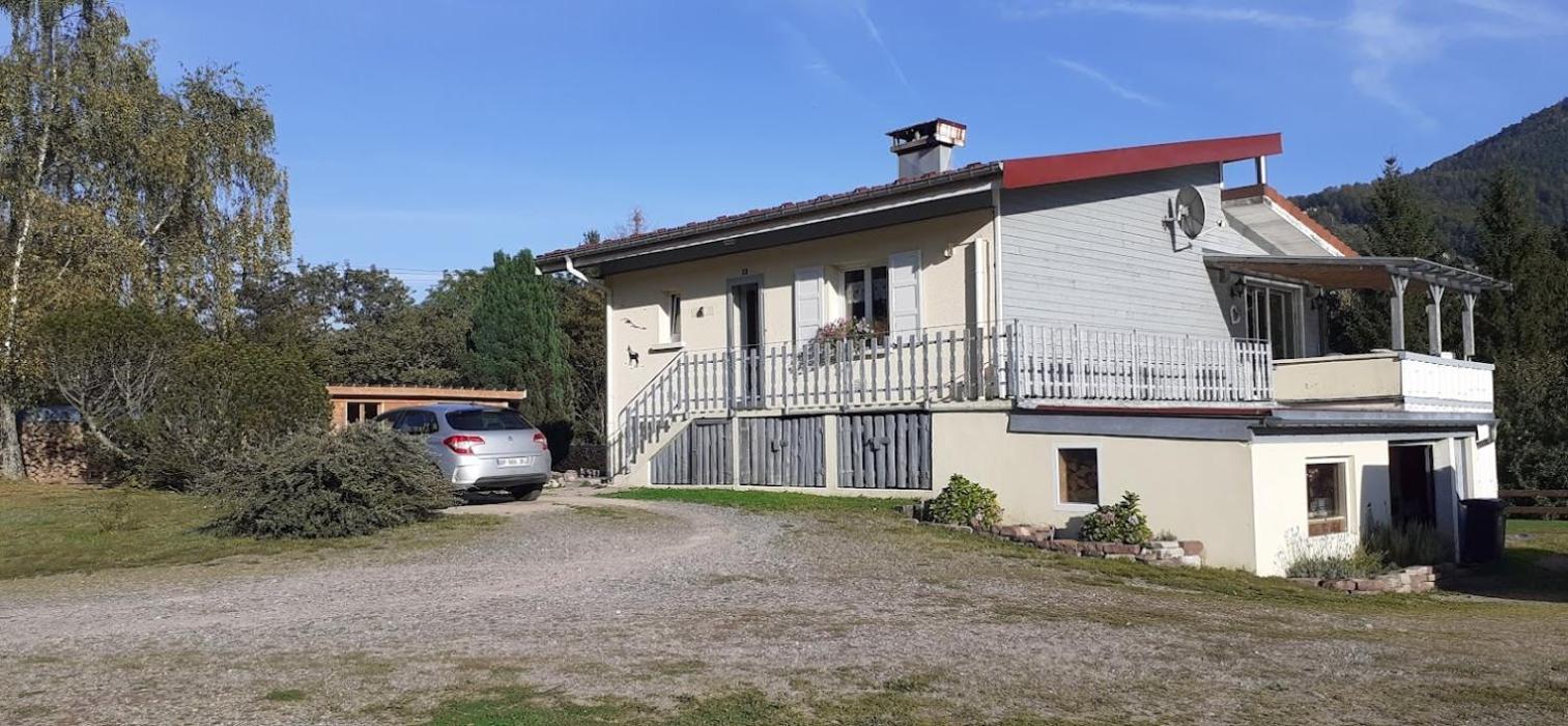 Appartement Cosy A Bussang Eksteriør billede